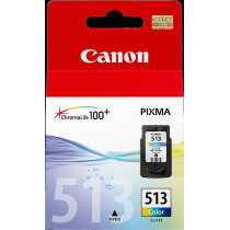 Canon CL-513 differenti colori Cartuccia d'inchiostro (2971B001)