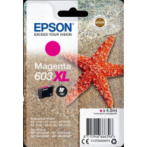 Epson 603XL magenta Cartuccia d'inchiostro (C13T03A34010)