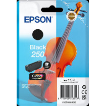Epson 250 nero Cartuccia d'inchiostro (C13T16N14010)