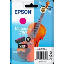 Epson 250 magenta Cartuccia d'inchiostro (C13T16N34010)