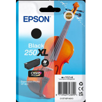 Epson 250 XL nero Cartuccia d'inchiostro (C13T16P14010)
