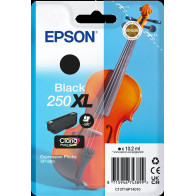Epson 250 XL nero Cartuccia d'inchiostro (C13T16P14010)