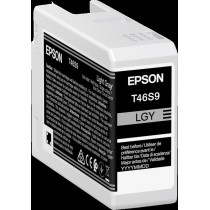 Epson T46S9 grigio (chiaro) Cartuccia d'inchiostro (C13T46S900)