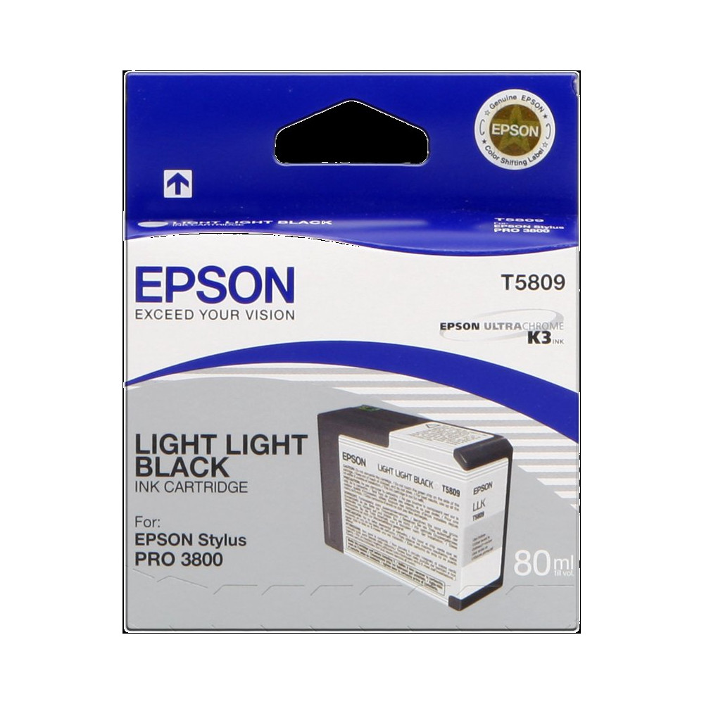 Epson T5809 lightlightblack Cartuccia d'inchiostro (C13T580900)