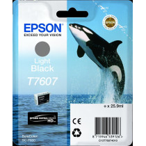 Epson T7607 lightblack Cartuccia d'inchiostro (C13T76074010)