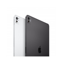11-inch iPad Pro WiFi + Cellular 1TB (M4) con Vetro Standard - Argento