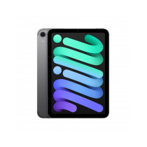 iPad mini Wi-Fi + Cellular 256GB - Grigio Siderale