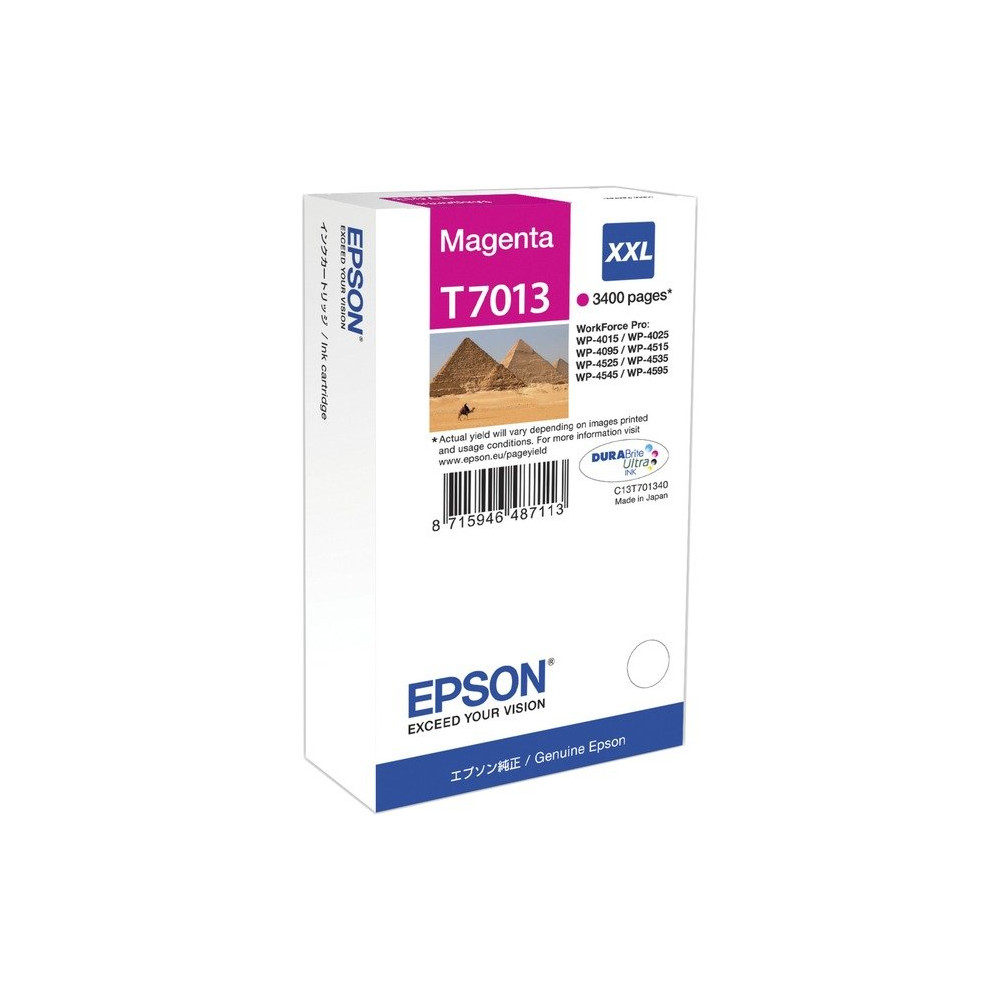 Epson Tanica Magenta, Inchiostro