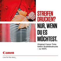 Canon GI-40 Originale