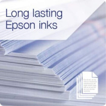 Epson T6643 Originale
