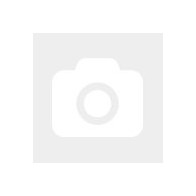 Ricoh 423649 tamburo per stampante Originale 1 pz