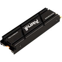 Kingston FURY 2000G RENEGADE PCIe 4.0 NVMe SSD W/ Dissipatore di calore, Disco a stato solido