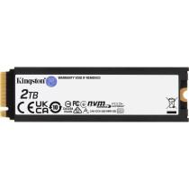 Kingston FURY 2000G RENEGADE PCIe 4.0 NVMe SSD W/ Dissipatore di calore, Disco a stato solido