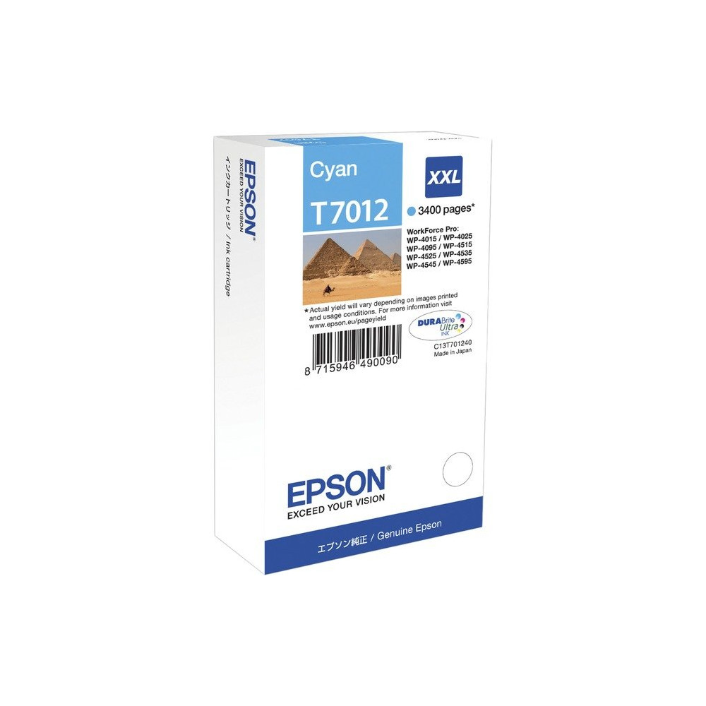Epson Tanica Ciano, Inchiostro