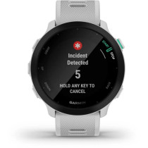 Garmin Forerunner 55, Smartwatch