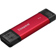 Kingston Dual Portable 1 TB, Disco a stato solido