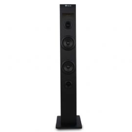 NGS ALTOPARLANTE 50W BLUETOOTH  2 TORRI USB RADIO FM AUX - SKYCHARM